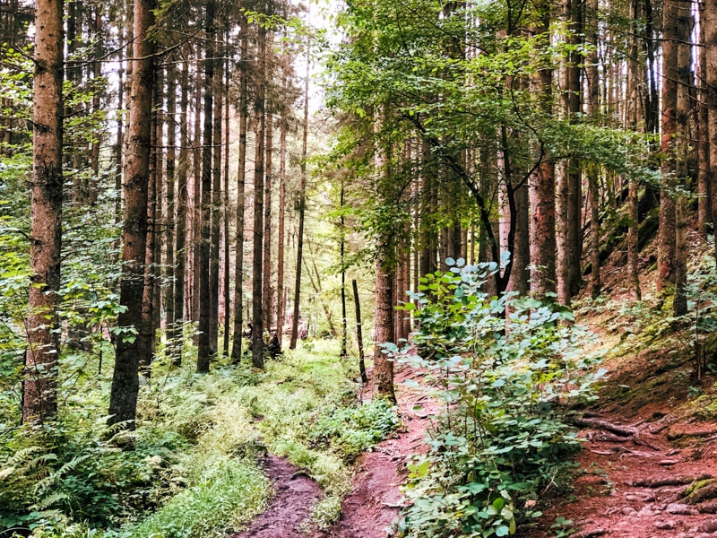 Wandeling Feeenvallei in de Ardennen