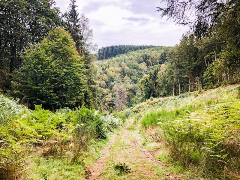Uitzichtpunten Feeënvallei wandelen Ardennen
