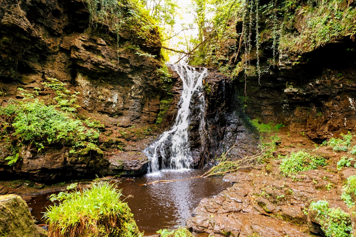 Wandeling Hareshaw Linn in het Northumberland Nationaal Park