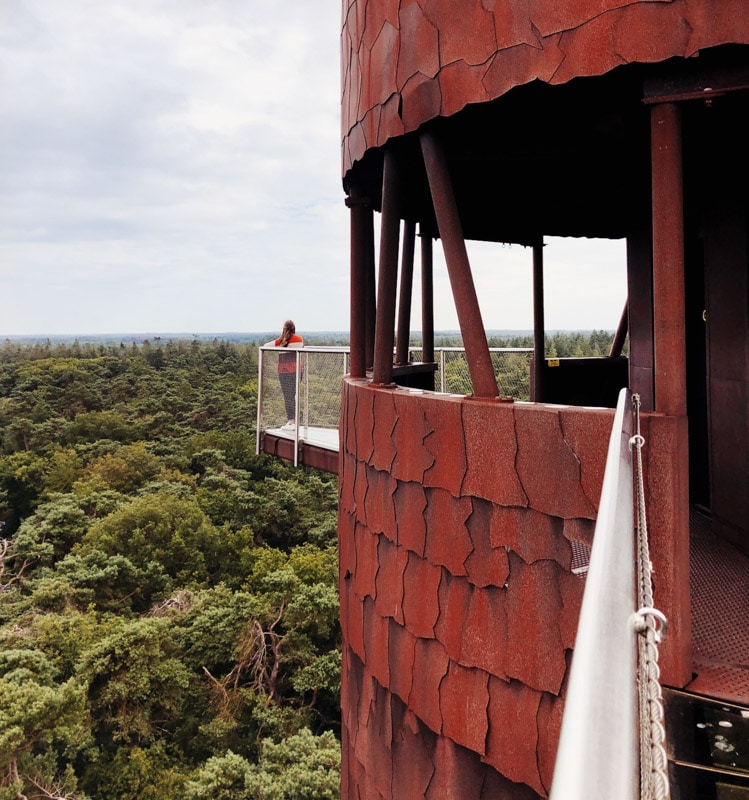 Bosbergtoren Appelscha