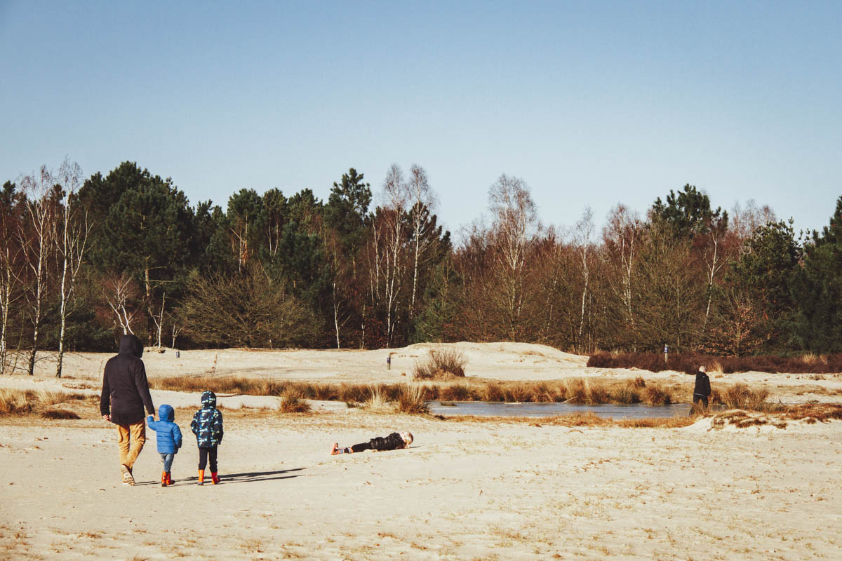 Bosch en Duin Loonse en Drunense Duinen