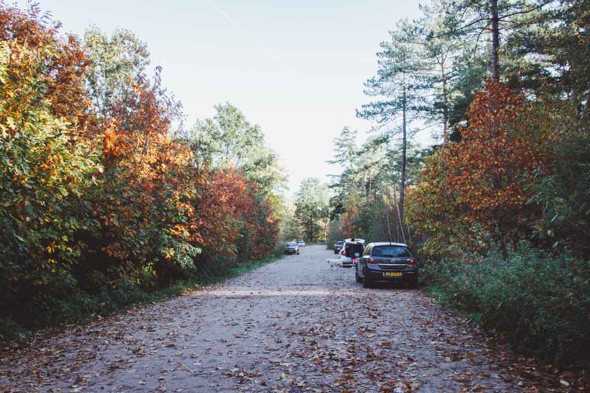 Wandelen Chaamse Bossen