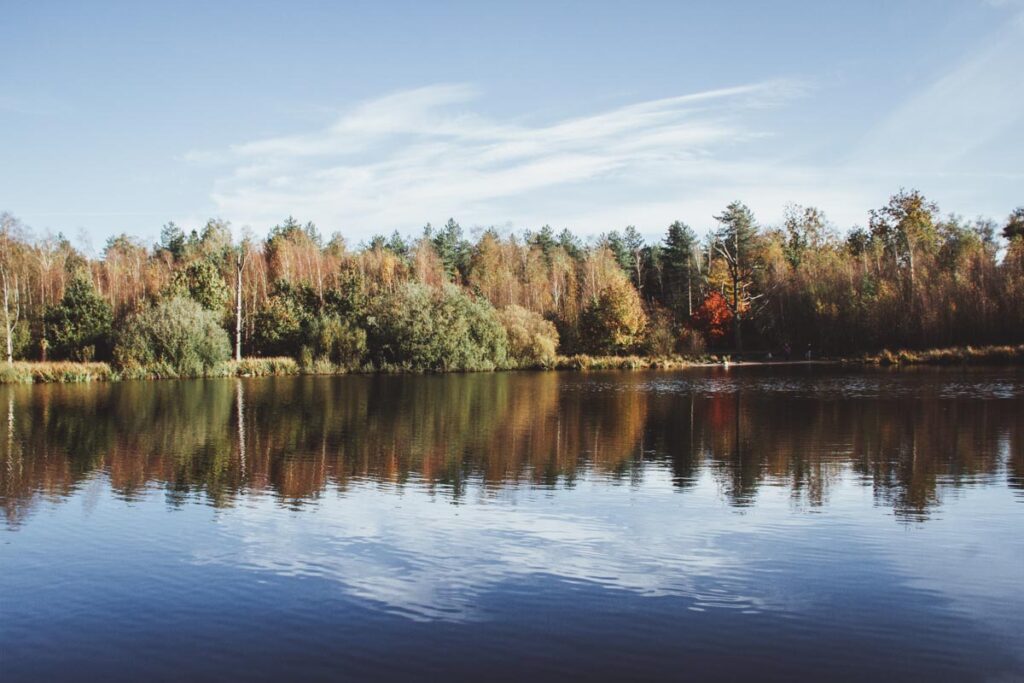 Wandelen Chaamse Bossen