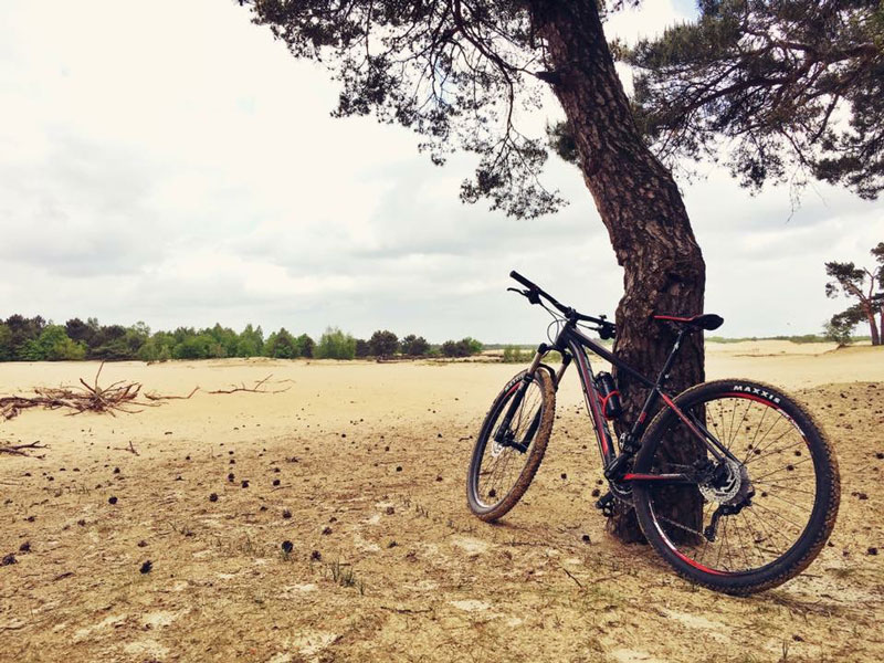 Mountainbiken Loonse en Drunense duien, fietsen en mountainbiken, wereld fiets dag