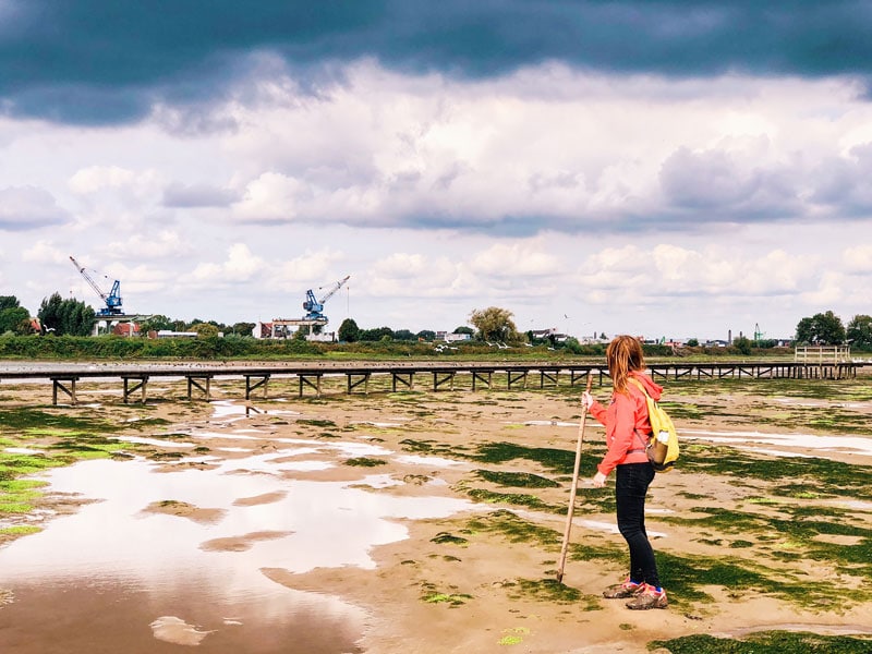 Wadlopen Sophiapolder