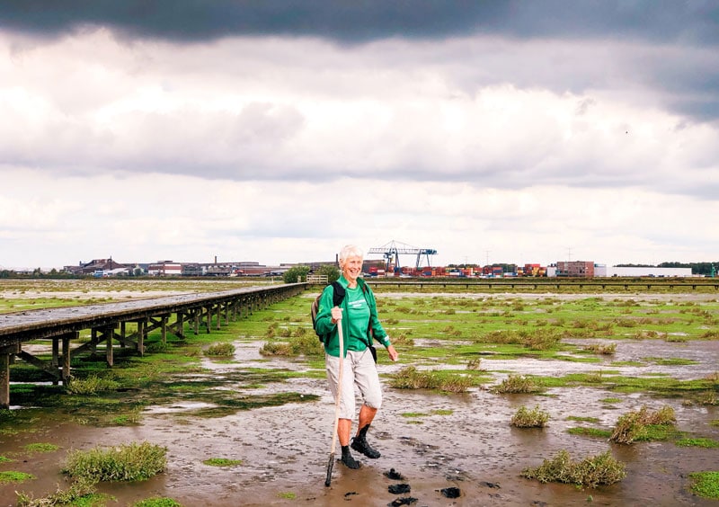 Wadlopen Sophiapolder