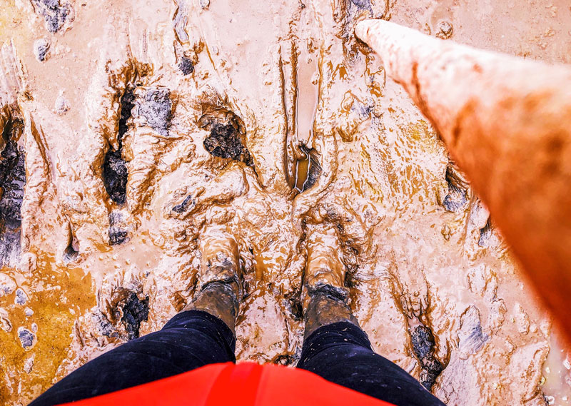 Wadlopen Sophiapolder