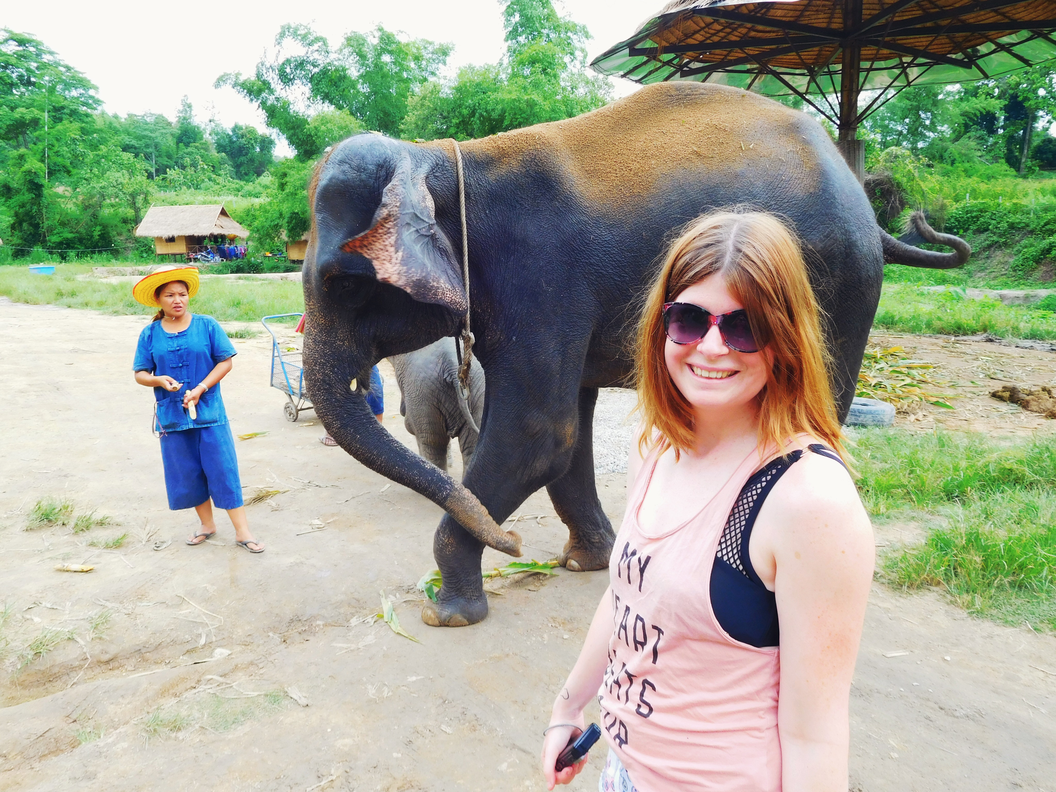 Elephant Retirement Park, olifanten park, olifanten opvang, chiang mai, thailand,