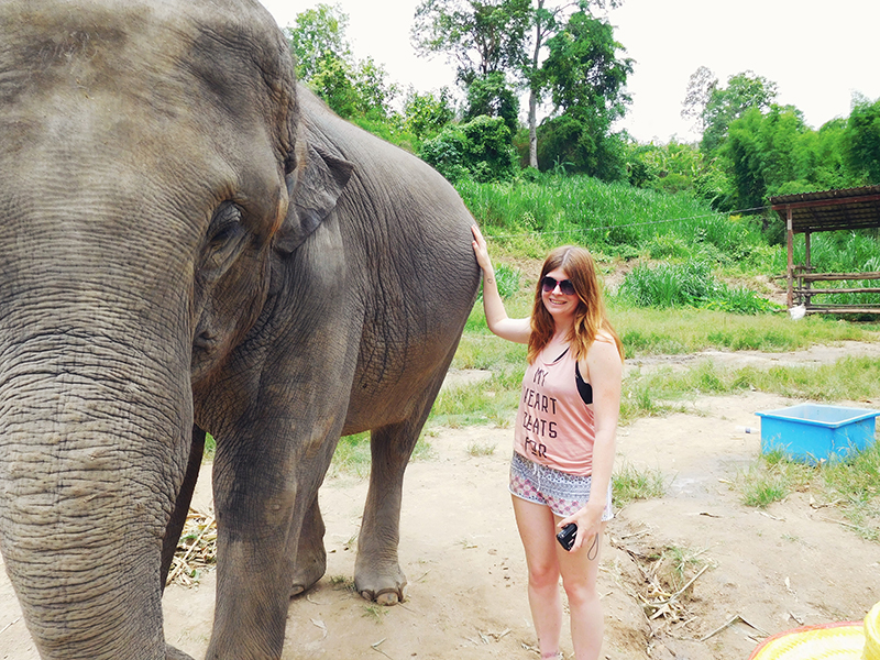 Elephant Retirement Park, olifanten park, olifanten opvang, chiang mai, thailand, 