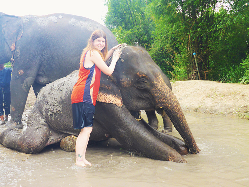 Elephant Retirement Park