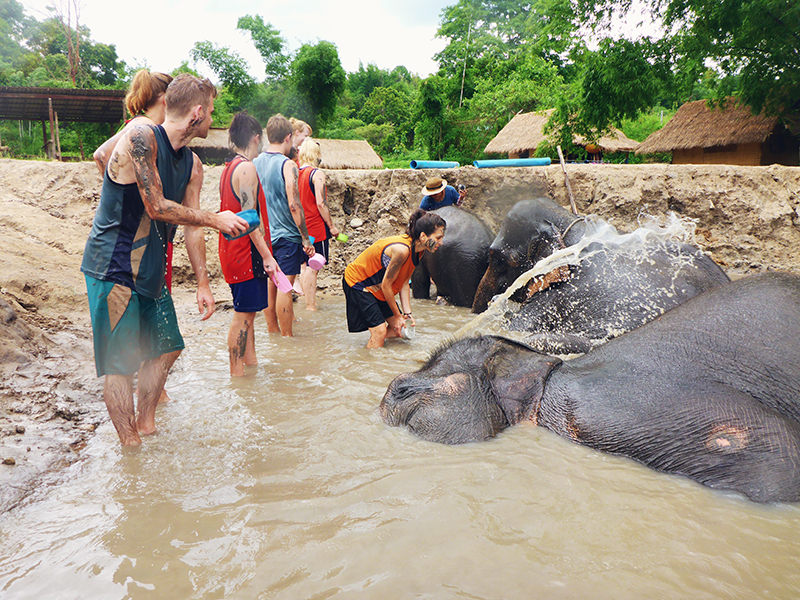 Elephant Retirement Park, olifanten park, olifanten opvang, chiang mai, thailand,