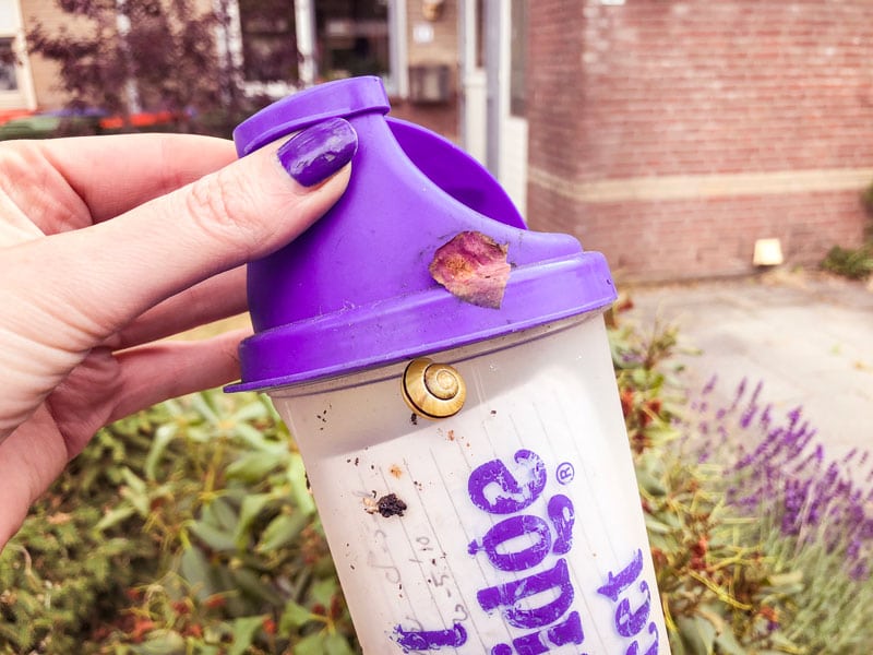 Geoaching in Breda, Geocaching in Nederland, geocaching, geocache,