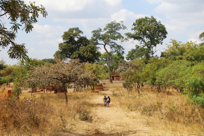 cycle for plan, plan nederland, plan zambia, plan international, zambia, afrika, africa, reizen door zambia, fietsen door zambia, reizen dor afrika, bucket list adventure, reizen alleen,