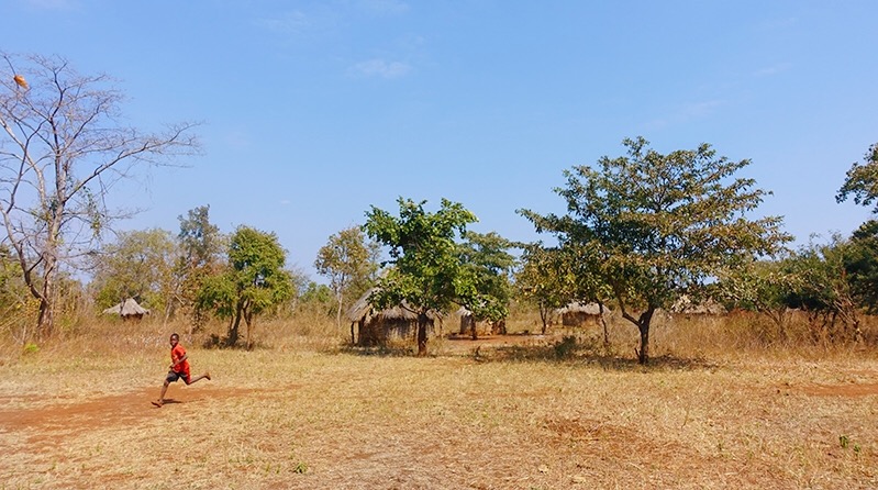 Zambia, als wat je moet weten over zambia, reizen door zambia, zambia afrika, south luangwa national park, victroria falls, reizen door afrika,