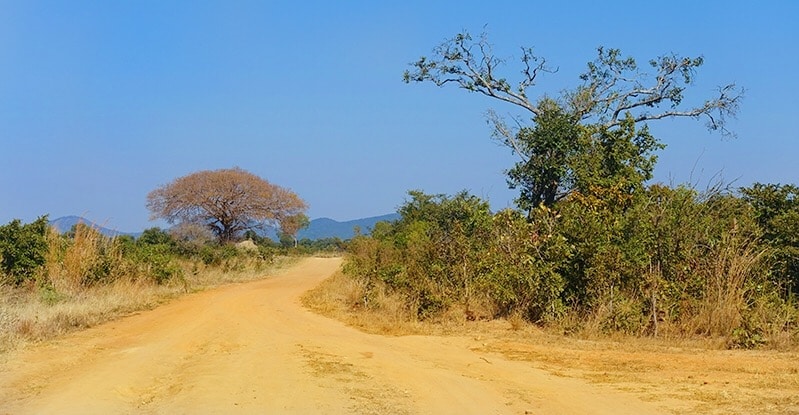 Zambia, als wat je moet weten over zambia, reizen door zambia, zambia afrika, south luangwa national park, victroria falls, reizen door afrika,