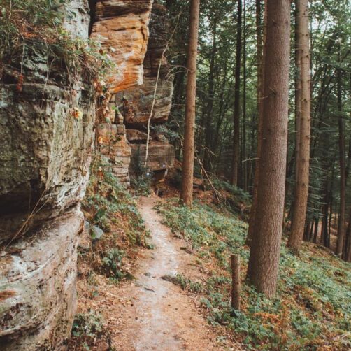 Grune Holle wandelen in de Eifel