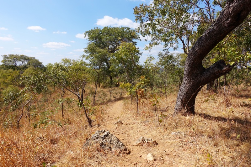 zambia, afrika, reizen door afrika, reizen door zambia, cycle for plan, plan nederland, cycle for plan zambia, fietsen tegen kindhuwelijken, backpacken, backpacken door afrika, fietsen in afrika, bucket list, avontuur door afrika,