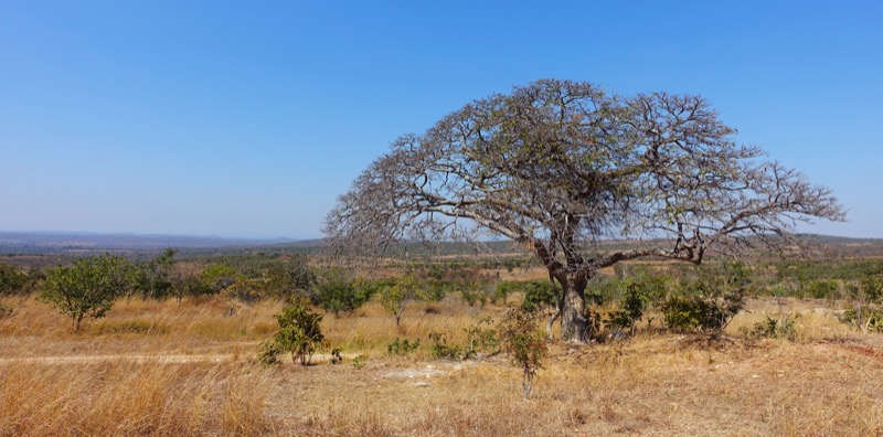 zambia, afrika, reizen door afrika, reizen door zambia, cycle for plan, plan nederland, cycle for plan zambia, fietsen tegen kindhuwelijken, backpacken, backpacken door afrika, fietsen in afrika, bucket list, avontuur door afrika,