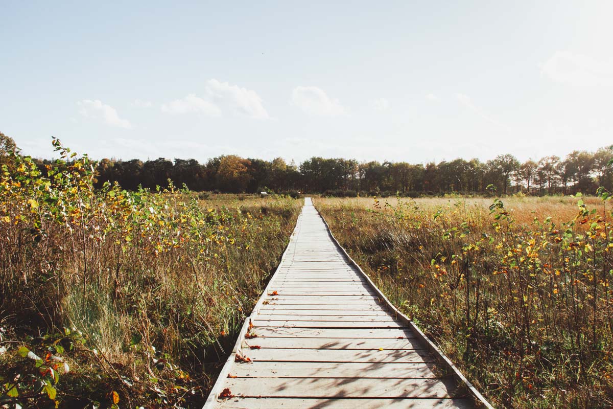 Wandelen Mastbos Natuurbelevingsroute