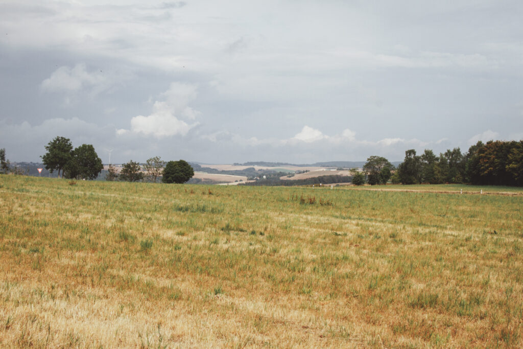 Natuurpark Südeifel