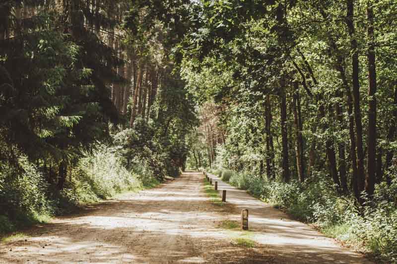 Natuurreservaat Lovenhoek