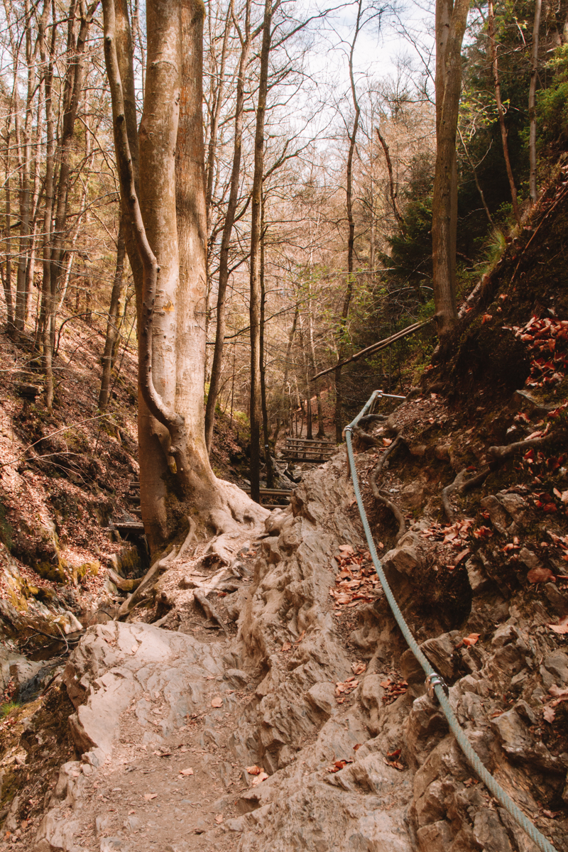Ninglinspo wandeling Ardennen