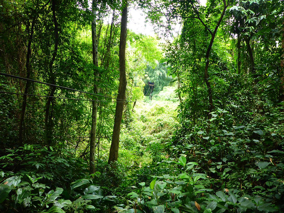 ziplinen door de jungle, Eagle track, eagle track zipline, eagle track thailand, eagle track zipline thailand, chiang mai, wat te doen in chiang mai, thailand, ziplinen, zipline, avontuur, bucket list