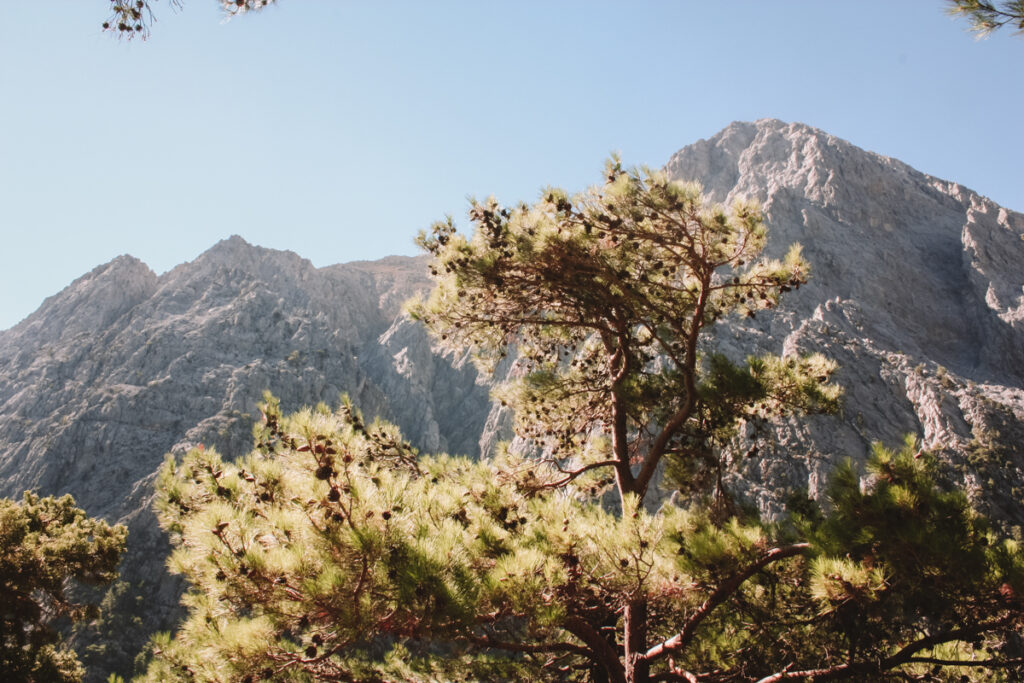 Samaria Kloof Kreta