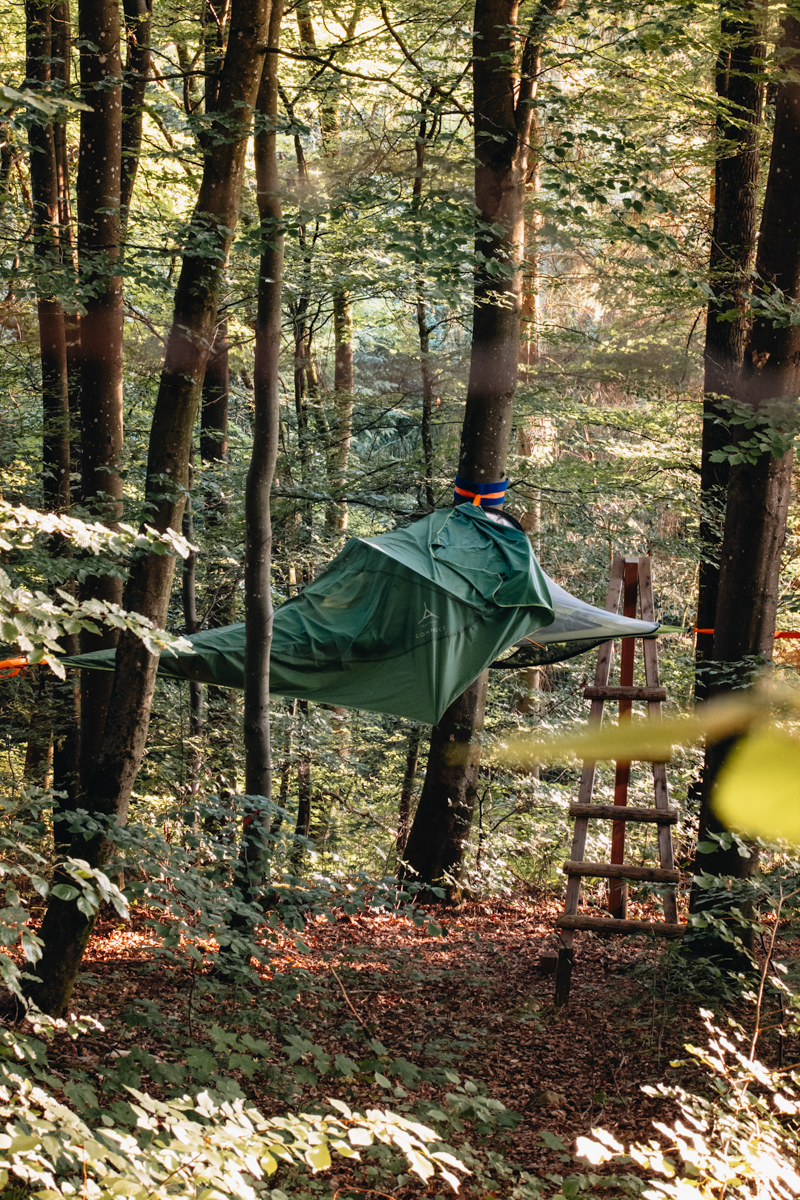 Boomtent in de Eifel
