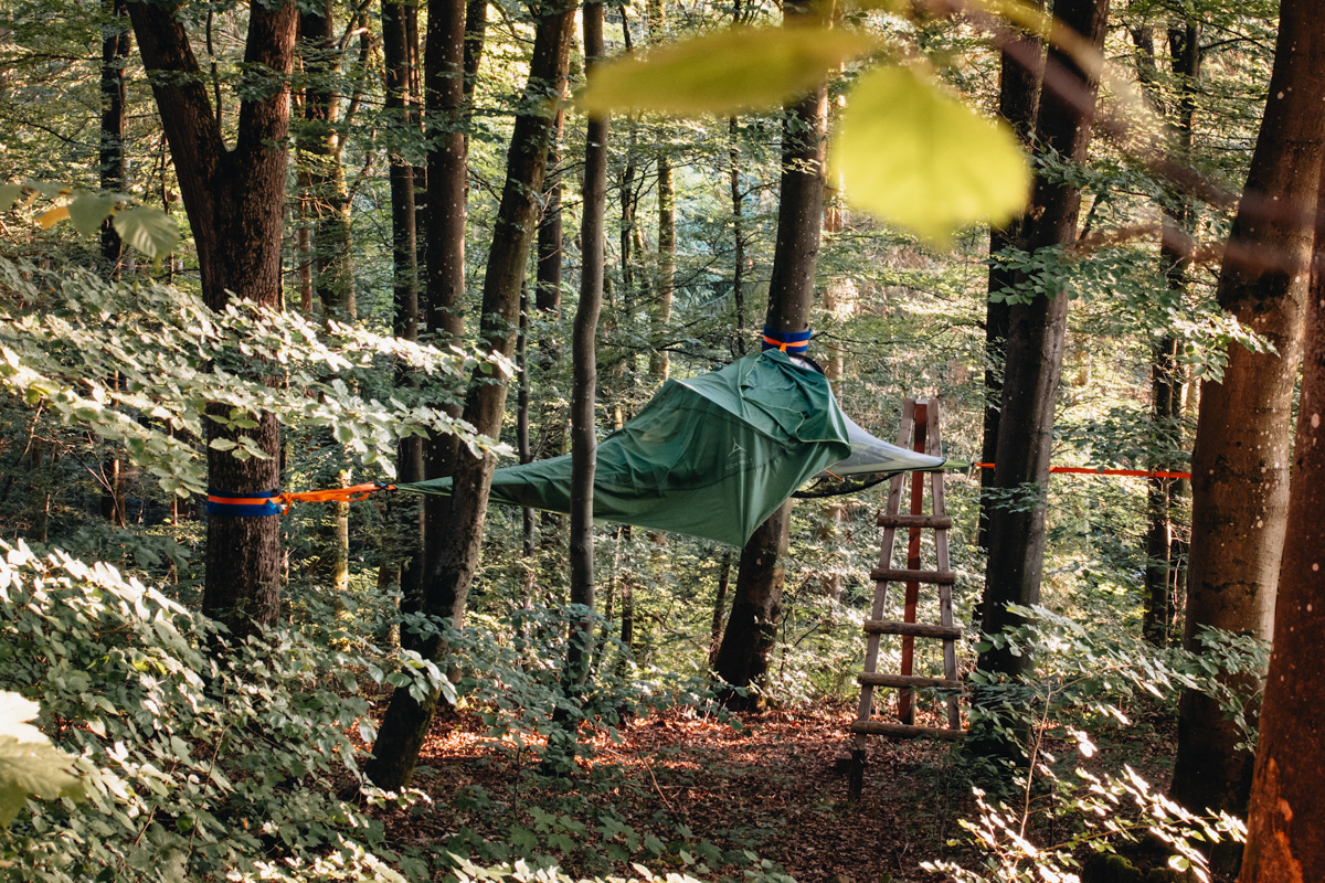 Boomtent in de Eifel 