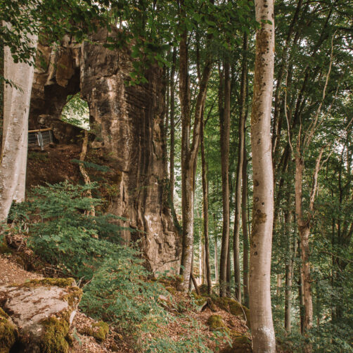 Teufelsschlucht Eifel Duitsland