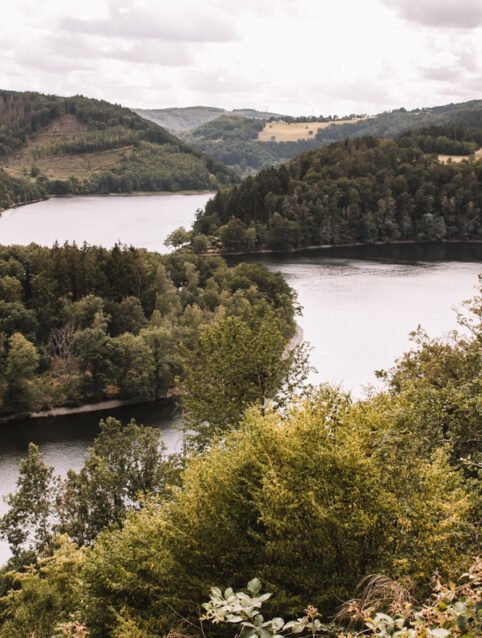 Wandelen Nationaal Park Eifel