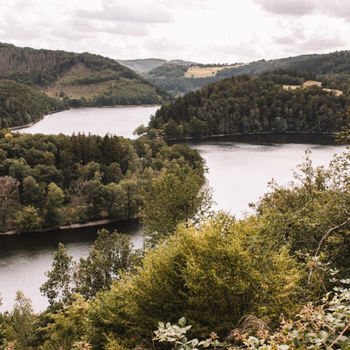 Wandelen Nationaal Park Eifel