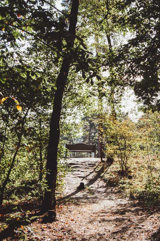 Wandelen Oisterwijkse Vennen