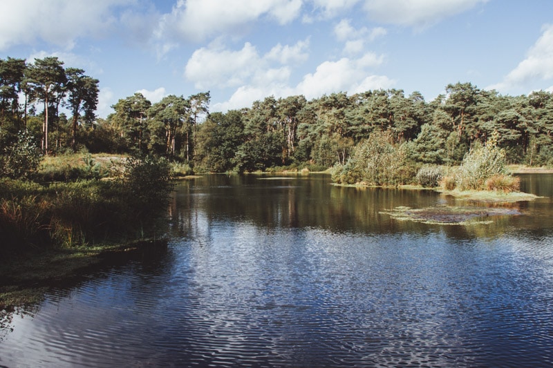 Wandelen Oisterwijkse Vennen