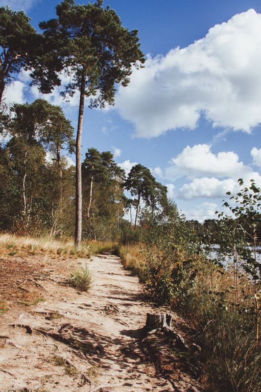 Wandelen Oisterwijkse Vennen