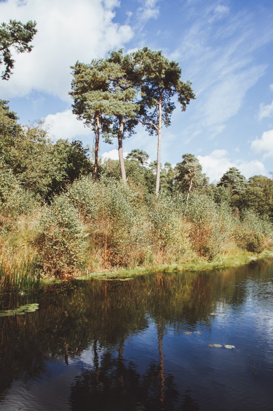 Wandelen Oisterwijkse Vennen