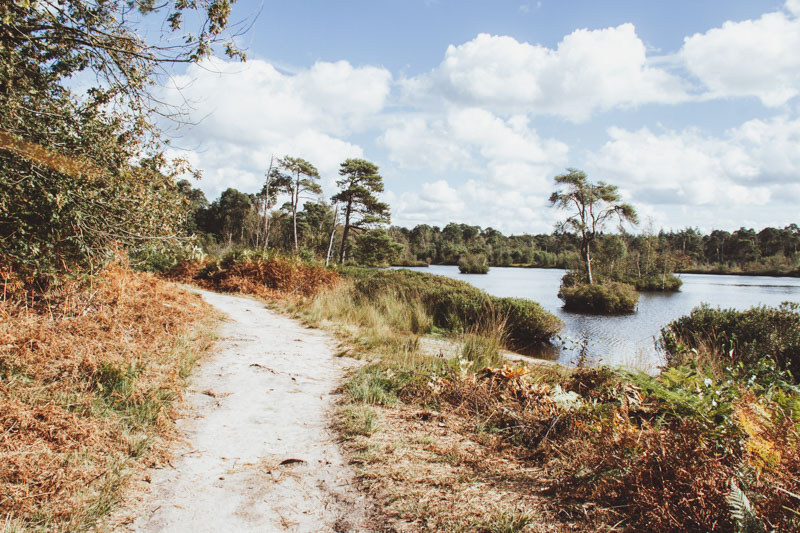 Wandelen Oisterwijkse Vennen